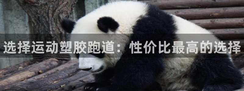 66814红足：选择运动塑胶跑道：性价比最高的选择