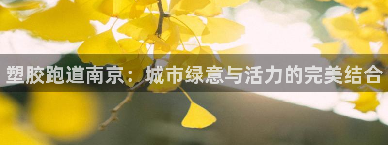 红足1一世足球手机：塑胶跑道南京：城市绿意与活力的完美结合