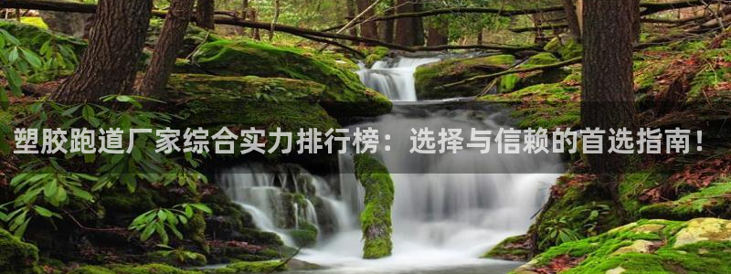 红足1世手机版下载：塑胶跑道厂家综合实力排行榜：选择与信赖的首选指南！