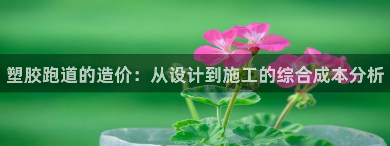 红足网足球直播:塑胶跑道的造价:从设计到施工的综合成本分析