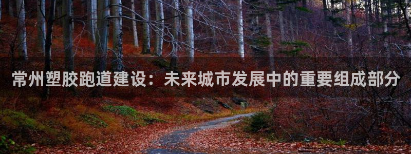 红足一1世手机开奖：常州塑胶跑道建设：未来城市发展中的重要组成部分
