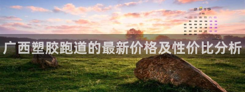 新2足球平台出租网站:广西塑胶跑道的最新价格及性价比分析