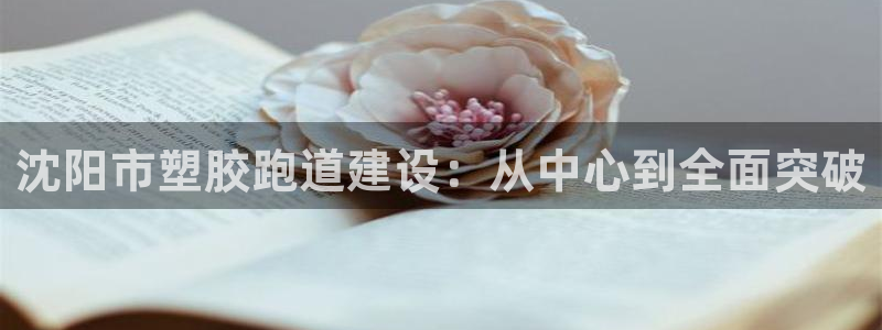 333814红足1世：沈阳市塑胶跑道建设：从中心到全面突破