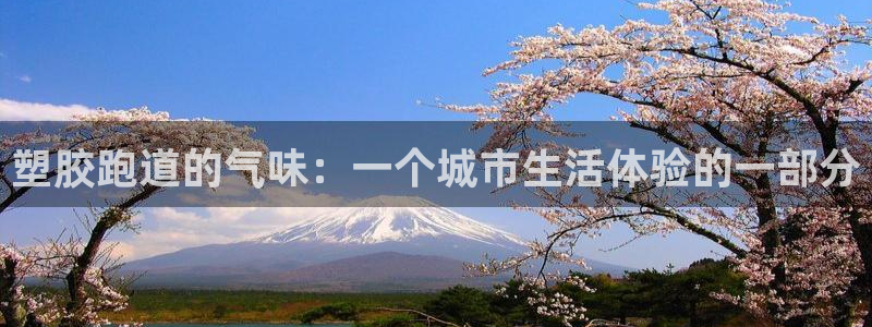 红足一1世66814：塑胶跑道的气味：一个城市生活体验的一部分