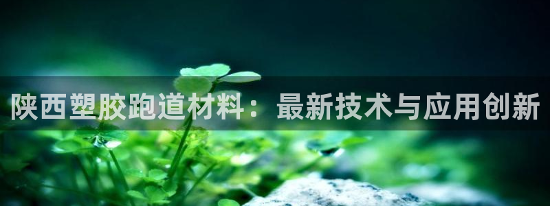 红足1世足球比分：陕西塑胶跑道材料：最新技术与应用创新