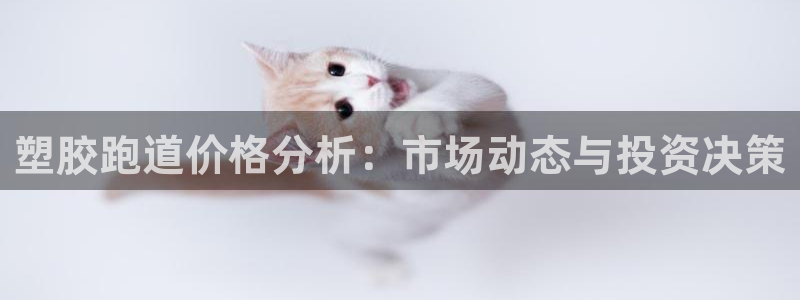 44814红足：塑胶跑道价格分析：市场动态与投资决策