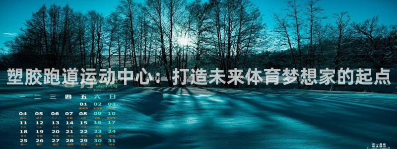 66814红足：塑胶跑道运动中心：打造未来体育梦想家的起点