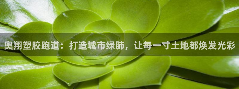 新2足球平台出租网站：奥翔塑胶跑道：打造城市绿肺，让每一寸土地都焕发光彩