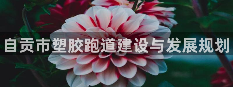 777814红·足一世比分：自贡市塑胶跑道建设与发展规划