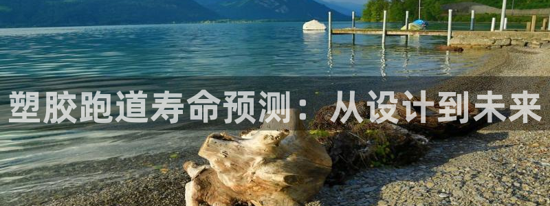 百度红足一1使用说明：塑胶跑道寿命预测：从设计到未来