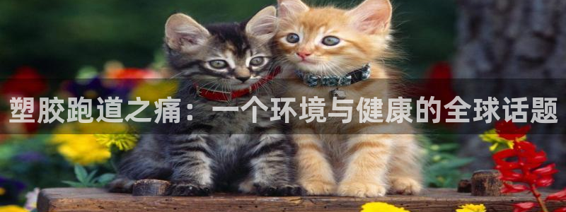 红足1世手机版下载:塑胶跑道之痛:一个环境与健康的全球话题