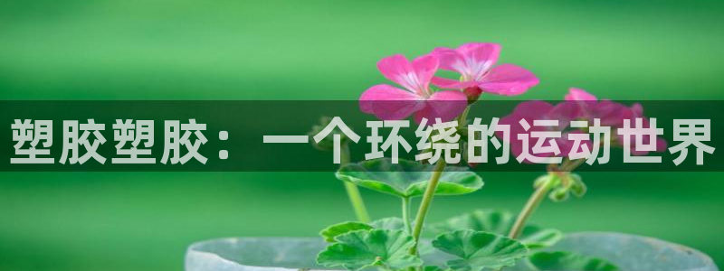 红足1世足球网址大全：塑胶塑胶：一个环绕的运动世界