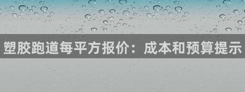 333814红足1世：塑胶跑道每平方报价：成本和预算提示