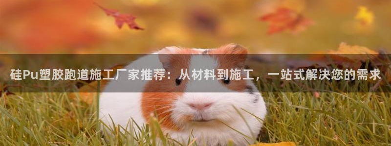 777814红·足一世：硅Pu塑胶跑道施工厂家推荐：从材料到施工，一站式解决您的需求