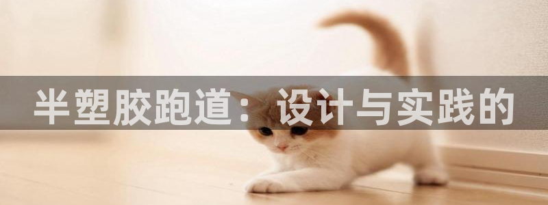 红足1世足球:半塑胶跑道:设计与实践的