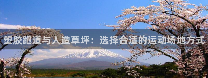 红足一比分网：塑胶跑道与人造草坪：选择合适的运动场地方式