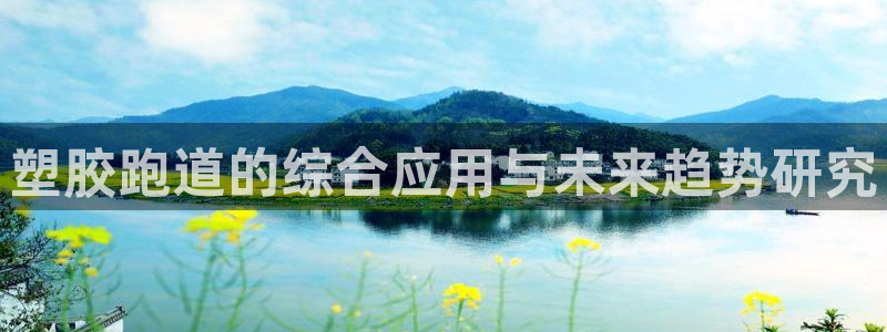 百度红足一1世:塑胶跑道的综合应用与未来趋势研究