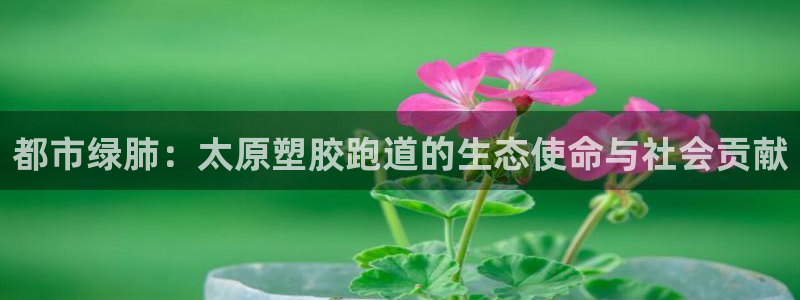 红足一1世：都市绿肺：太原塑胶跑道的生态使命与社会贡献
