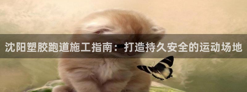 红足1一世足球手机：沈阳塑胶跑道施工指南：打造持久安全的运动场地