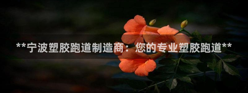 红足足球网：**宁波塑胶跑道制造商：您的专业塑胶跑道**