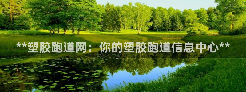 红足1世足球：**塑胶跑道网：你的塑胶跑道信息中心**