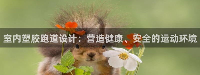 红足一1世手机皇冠:室内塑胶跑道设计:营造健康、安全的运动环境