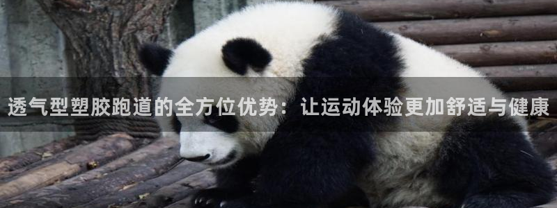 红足1一世 2站：透气型塑胶跑道的全方位优势：让运动体验更加舒适与健康