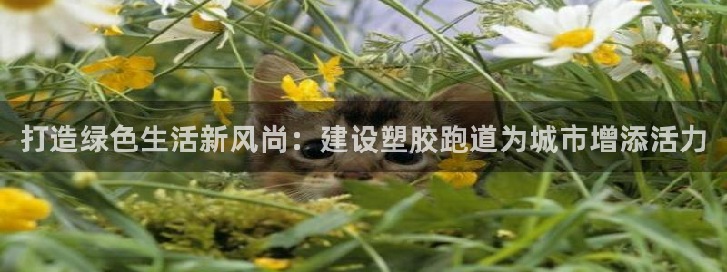 红足一1世比分网:打造绿色生活新风尚:建设塑胶跑道为城市增添活力