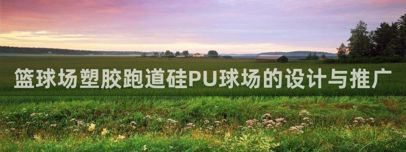 红足i世足球手机网：篮球场塑胶跑道硅PU球场的设计与推广