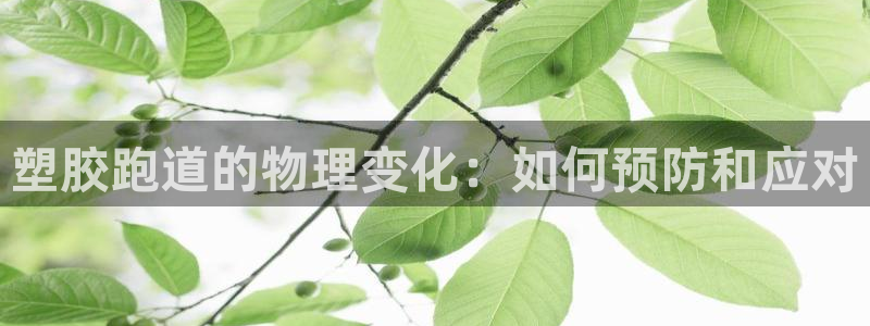 66814红足：塑胶跑道的物理变化：如何预防和应对