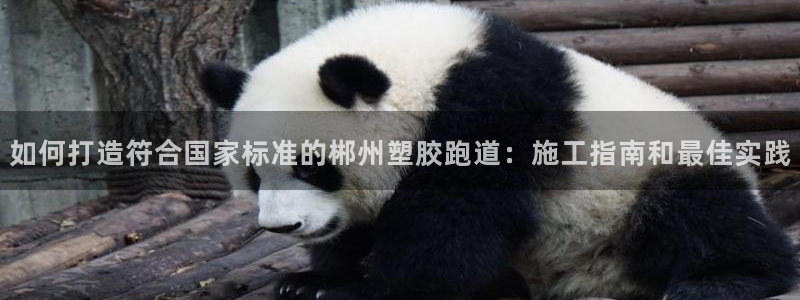 百度红足一1是为什么：如何打造符合国家标准的郴州塑胶跑道：施工指南和最佳实践