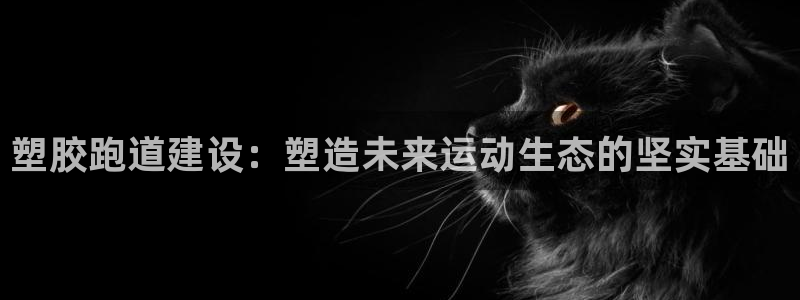 333814红·足一世比分：塑胶跑道建设：塑造未来运动生态的坚实基础